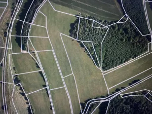 Prodej lesa, Čepřovice, 1644 m2