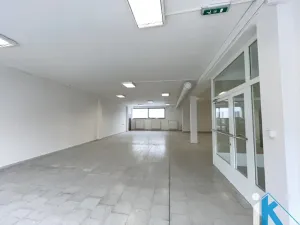 Pronájem obchodního prostoru, Prostějov, Wolkerova, 284 m2