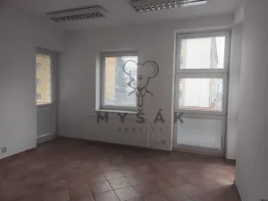 Pronájem bytu 4+1, České Budějovice - České Budějovice 3, Holečkova, 100 m2