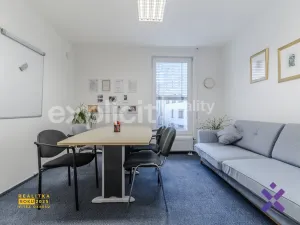 Pronájem obchodního prostoru, Uherské Hradiště, Otakarova, 173 m2