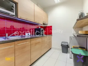 Pronájem obchodního prostoru, Uherské Hradiště, Otakarova, 173 m2