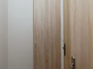 Prodej bytu 1+kk, Ostrava - Moravská Ostrava, Ahepjukova, 26 m2