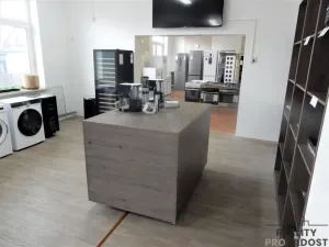 Pronájem komerční nemovitosti, Kladno, Smetanova, 170 m2