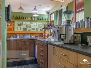 Prodej kanceláře, Rokycany - Plzeňské Předměstí, Sokolská, 413 m2