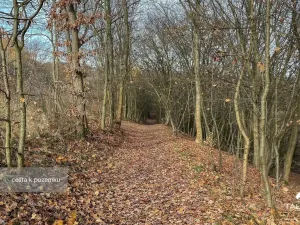 Prodej pozemku, Jílové u Prahy, 3438 m2