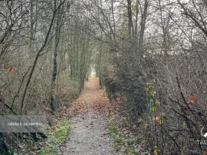 Prodej pozemku, Jílové u Prahy, 3438 m2