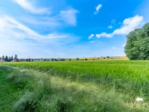 Prodej pozemku pro bydlení, Chodouň, 13216 m2