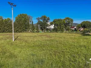 Prodej pozemku pro bydlení, Chodouň, 6455 m2