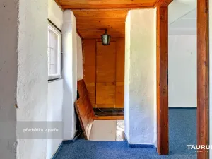 Prodej chaty, Stříbro - Butov, 73 m2