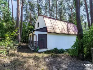 Prodej chaty, Stříbro - Butov, 73 m2