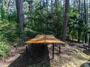 Prodej chaty, Stříbro - Butov, 73 m2