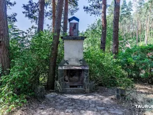 Prodej chaty, Stříbro - Butov, 73 m2