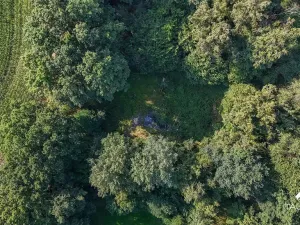 Prodej zahrady, Domažlice, 5634 m2