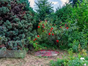 Prodej chaty, Čím, 85 m2