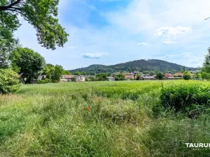 Prodej pozemku pro bydlení, Chodouň, 6761 m2