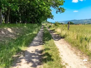 Prodej pozemku, Chudenín, 139968 m2