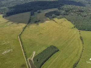 Prodej pozemku, Chudenín, 139968 m2