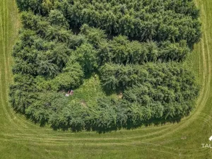 Prodej pozemku, Chudenín, 139968 m2