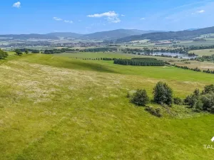 Prodej pozemku, Chudenín, 139968 m2