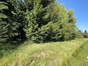 Prodej pozemku pro bydlení, Plzeň, 1929 m2