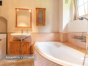 Prodej rodinného domu, Nečtiny - Čestětín, Čestětín, 365 m2