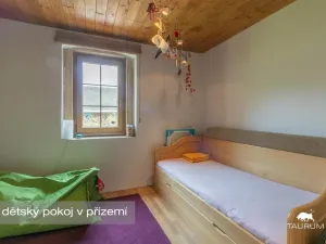 Prodej rodinného domu, Nečtiny - Čestětín, Čestětín, 365 m2