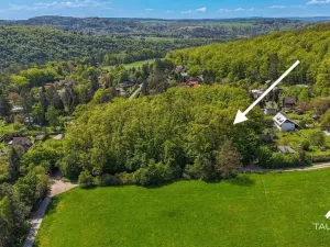 Prodej lesa, Petrov, 6490 m2