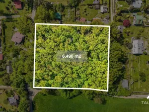 Prodej lesa, Petrov, 6490 m2