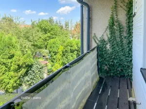 Prodej rodinného domu, Holubice, U Parku, 162 m2