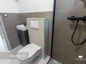 Prodej kanceláře, Plzeň - Jižní Předměstí, Kaplířova, 50 m2