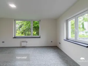 Prodej kanceláře, Plzeň - Jižní Předměstí, Kaplířova, 50 m2