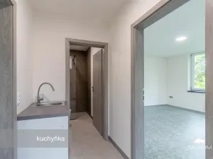 Prodej kanceláře, Plzeň - Jižní Předměstí, Kaplířova, 50 m2