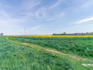 Prodej komerčního pozemku, Stříbro, 7355 m2