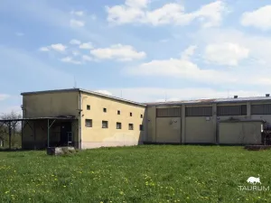 Prodej komerční nemovitosti, Ostrava - Svinov, Ostravská, 1000 m2