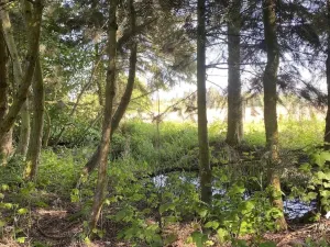 Prodej pozemku pro bydlení, Plzeň, 1019 m2