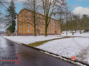 Pronájem bytu 2+1, Sokolov, Karla Čapka, 57 m2