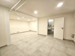 Pronájem kanceláře, Praha, U dělnického cvičiště, 46 m2