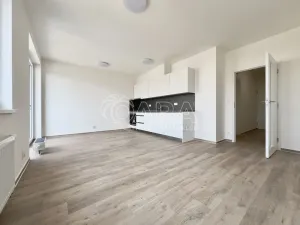 Pronájem bytu 1+kk, Brno, Střední, 37 m2