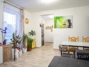 Prodej bytu 2+kk, Plzeň, U Velkého rybníka, 58 m2