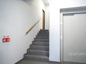 Prodej bytu 2+kk, Plzeň, U Velkého rybníka, 58 m2