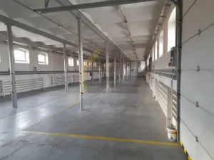 Pronájem skladu, Hodonín, Čajkovského, 800 m2