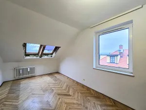 Pronájem rodinného domu, Praha - Braník, U háje, 380 m2