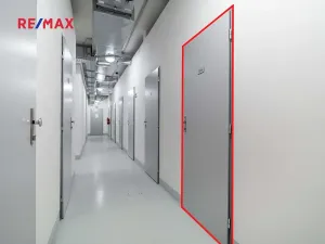 Pronájem bytu 1+kk, Praha - Žižkov, Olšanská, 37 m2