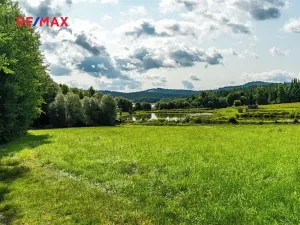 Prodej komerčního pozemku, Nová Pec, 9752 m2