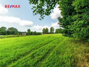 Prodej komerčního pozemku, Nová Pec, 9752 m2