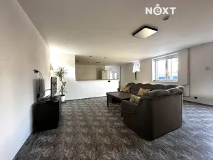 Pronájem bytu 4+kk, Plchov, 120 m2