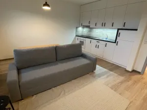 Prodej bytu 1+kk, Opava, Kačírkova, 32 m2