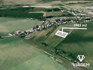 Prodej pole, Blížkovice, 3961 m2