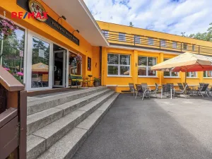 Prodej rodinného domu, Doksy, Pod Borným, 1700 m2