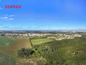 Prodej lesa, Praha - Malá Chuchle, 17570 m2